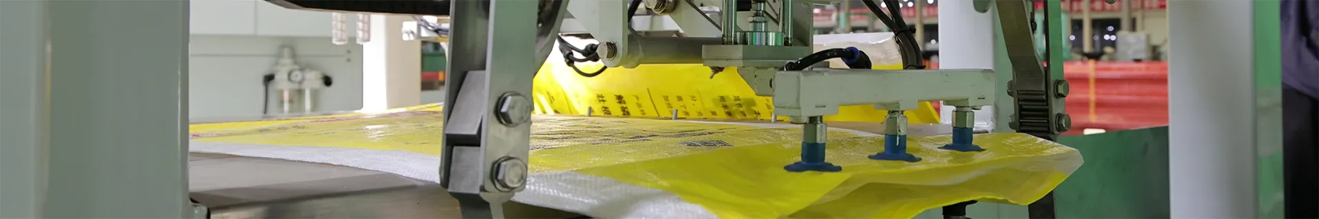 Bagging and Palletizing System