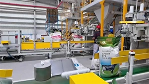 Belt Feed Bagging Scale